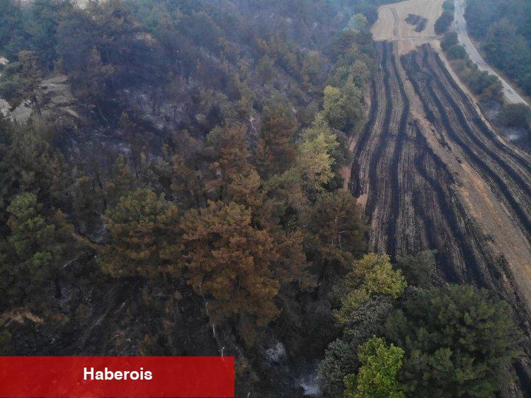 Çanakkale'de alevler yayılıyor