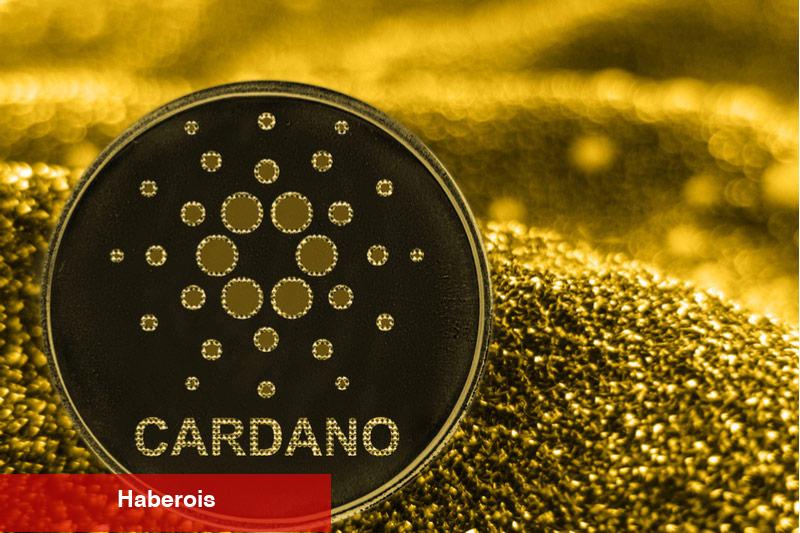 Cardano ağının sabit kripto varlığı likidite sorunuyla karşı karşıya kaldı
