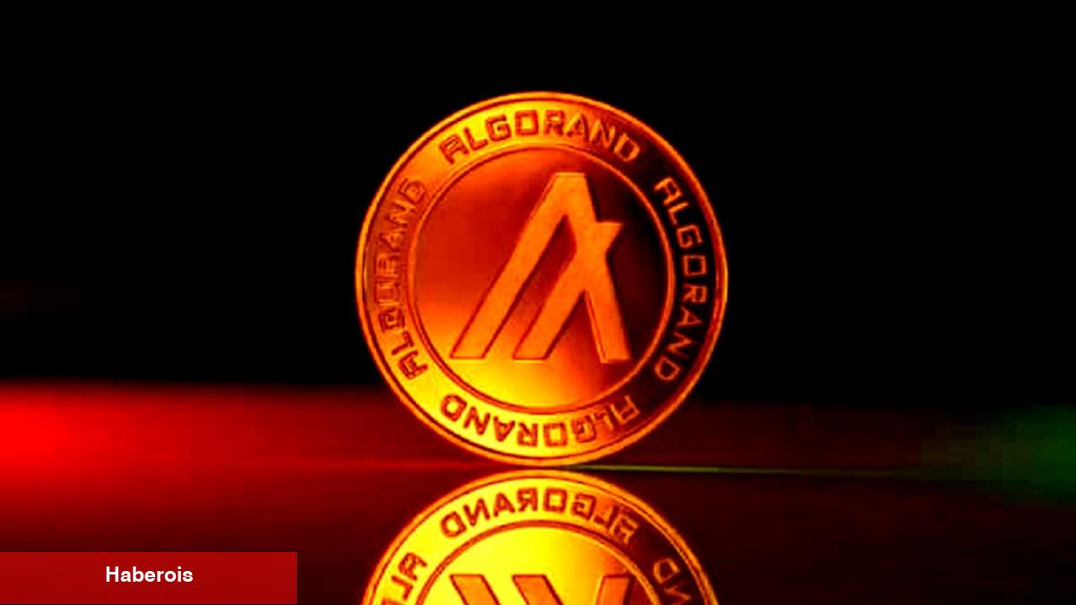 Cardano Mucidinden Bu Altcoin İçin Sert Satış Teklifi! - Haberois Cardano Mucidinden Bu Altcoin İçin Sert Satış Teklifi!