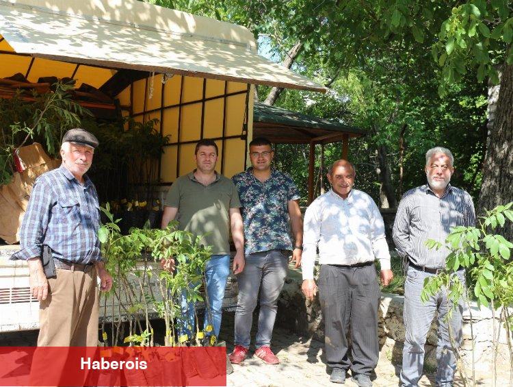 Çiftçilerin fidan sevinci! Taşı taşı bitmedi