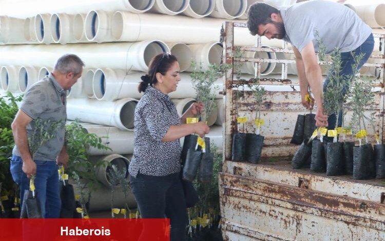 Çiftçilerin fidan sevinci! Taşı taşı bitmedi