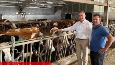 Çiğ süt fiyatı üreticiyi tatmin etmedi