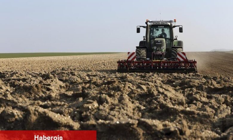 Çin, dünyanın ekilebilir alanlarının yüzde 9’unda üretim rekoru kırıyor - Haberois Çin, dünyanın ekilebilir alanlarının yüzde 9’unda üretim rekoru kırıyor