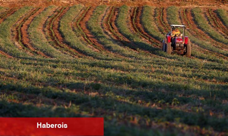 Çin’in tarım dış ticaret hacmi, yılın ilk yarısında 171 milyar doları geçti - Haberois Çin’in tarım dış ticaret hacmi, yılın ilk yarısında 171 milyar doları geçti