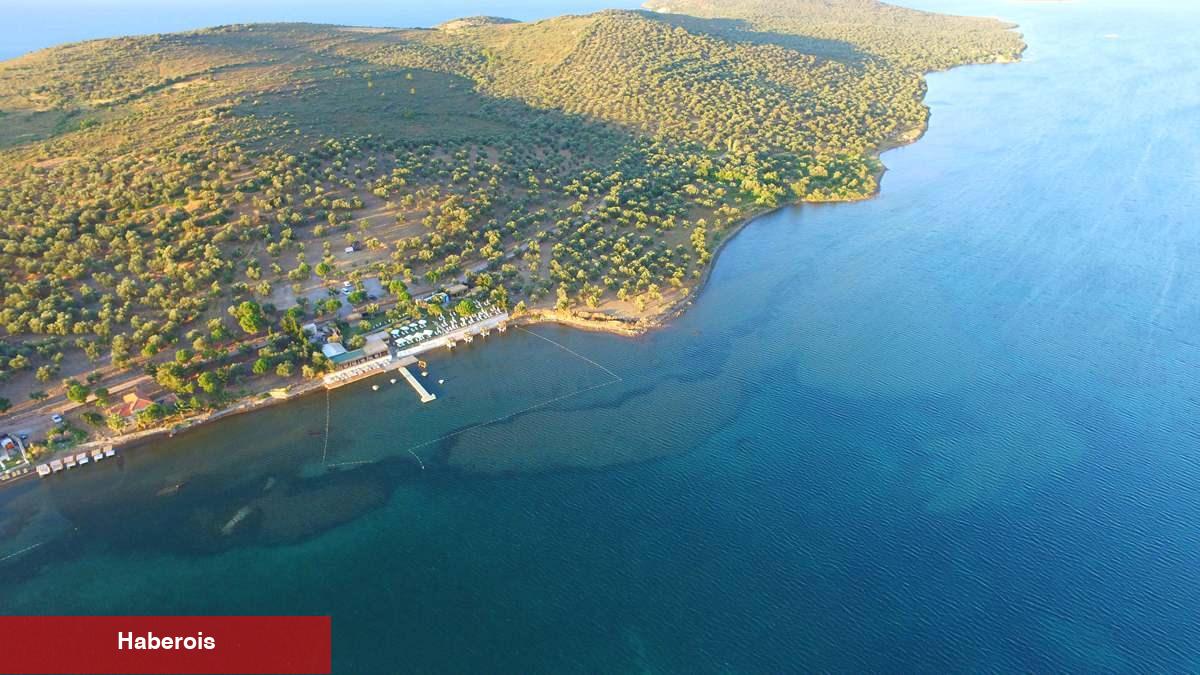Cunda Adası nerede, nasıl gidilir? Cunda Adası'nda gezilecek yerler nerelerdir?