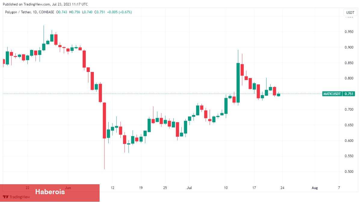 Danışmanlık Şirketi: Bu Altcoin İçin Satış Vakti Olabilir!
