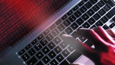 Dev Şirketlerden Multichain Atağı: Milyonlar Donduruldu!