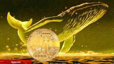 Devasa Yükseliş Beklentisi! Balinalar Bu 2 Altcoin’e Koşuyor!