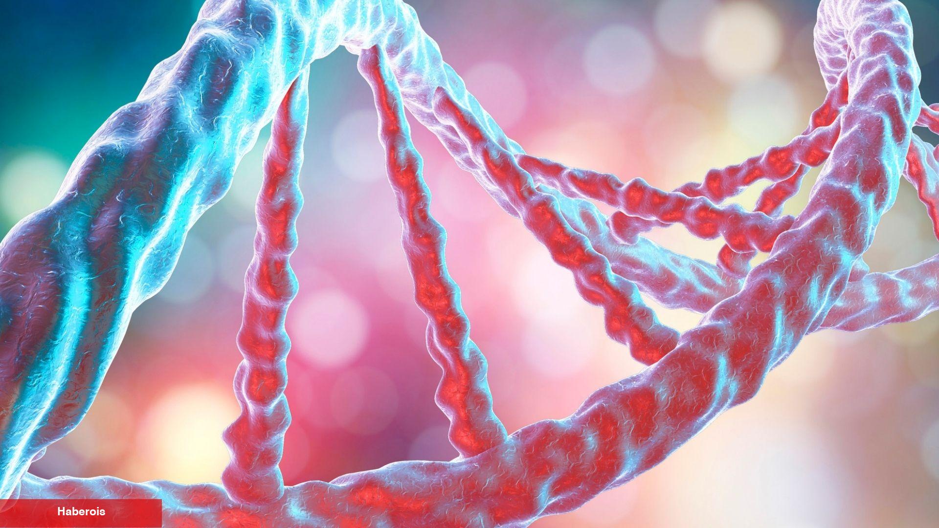 DNA İnsan Nefesinden Toplanabilir Mi ? - Haberois DNA İnsan Nefesinden Toplanabilir Mi ?