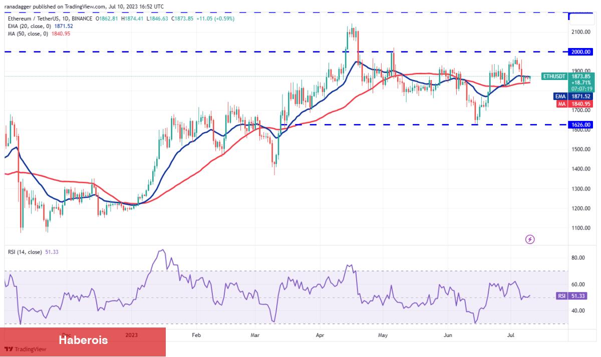 DOGE, SOL, LTC ve Bu 5 Coin İçin Al-Sat Düzeyleri