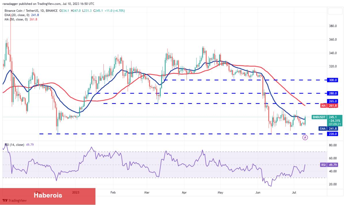 DOGE, SOL, LTC ve Bu 5 Coin İçin Al-Sat Düzeyleri