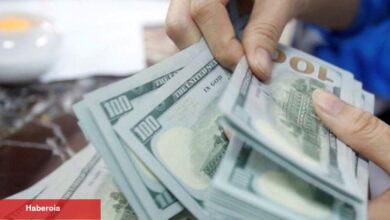 Döviz mevduatı 4,5 yılın en düşüğüne geriledi