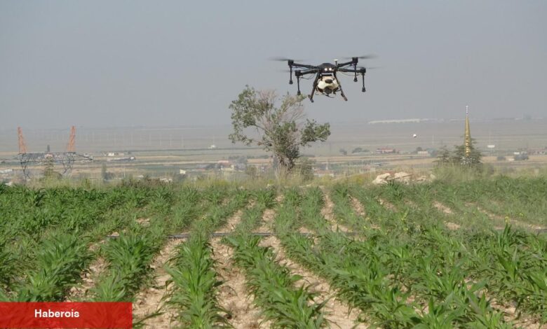 Drone'lar tarlaya indi! Çiftçinin yükü azaldı - Haberois Drone'lar tarlaya indi! Çiftçinin yükü azaldı