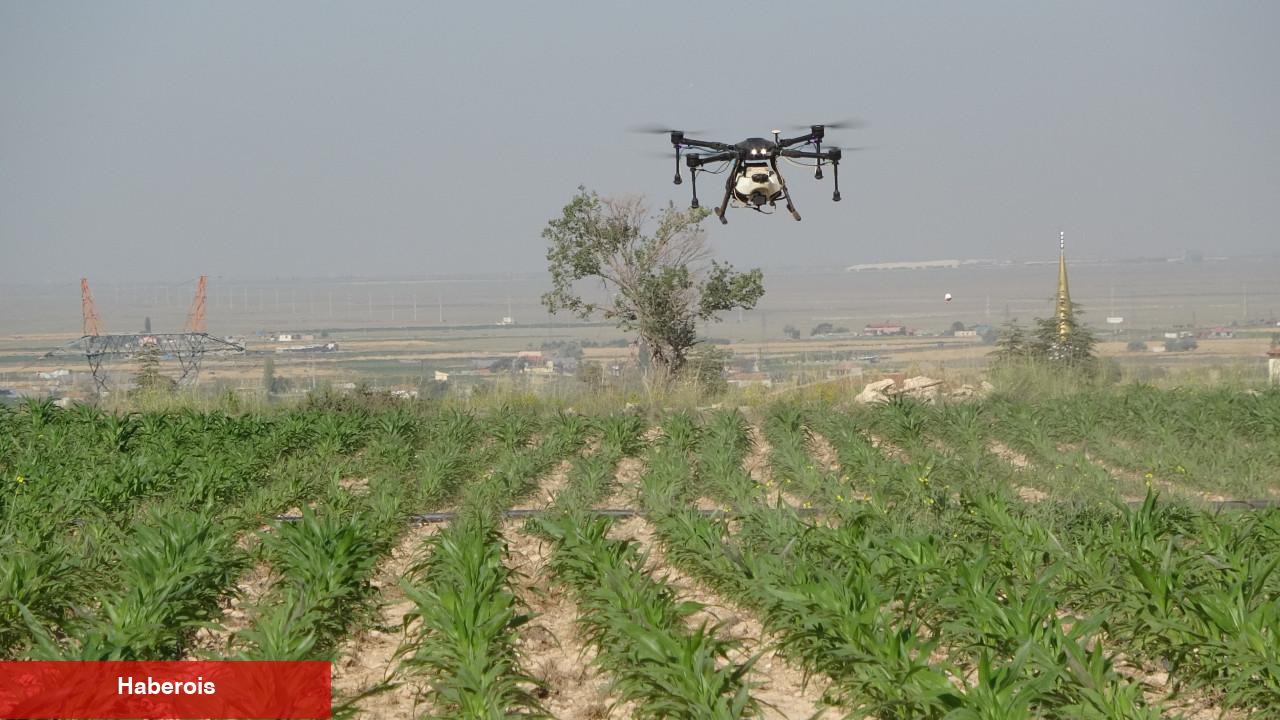 Drone'lar tarlaya indi! Çiftçinin yükü azaldı
