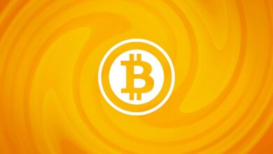 Düşüşleri Öngören Efsane: Bitcoin Bu Tabanlarda Çakılacak! - Haberois Düşüşleri Öngören Efsane: Bitcoin Bu Tabanlarda Çakılacak!