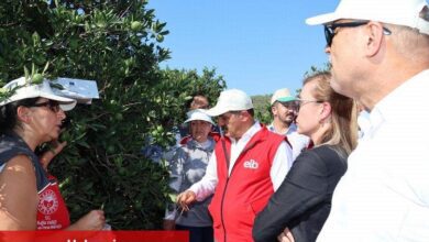 Ege ihracatçıları 'iyi tarım uyguamalarını' Muğla'da sürdürdü