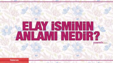 Elay isminin manası nedir? Elay ismi Kuran'da geçiyor mu? Elay isminin tahlili