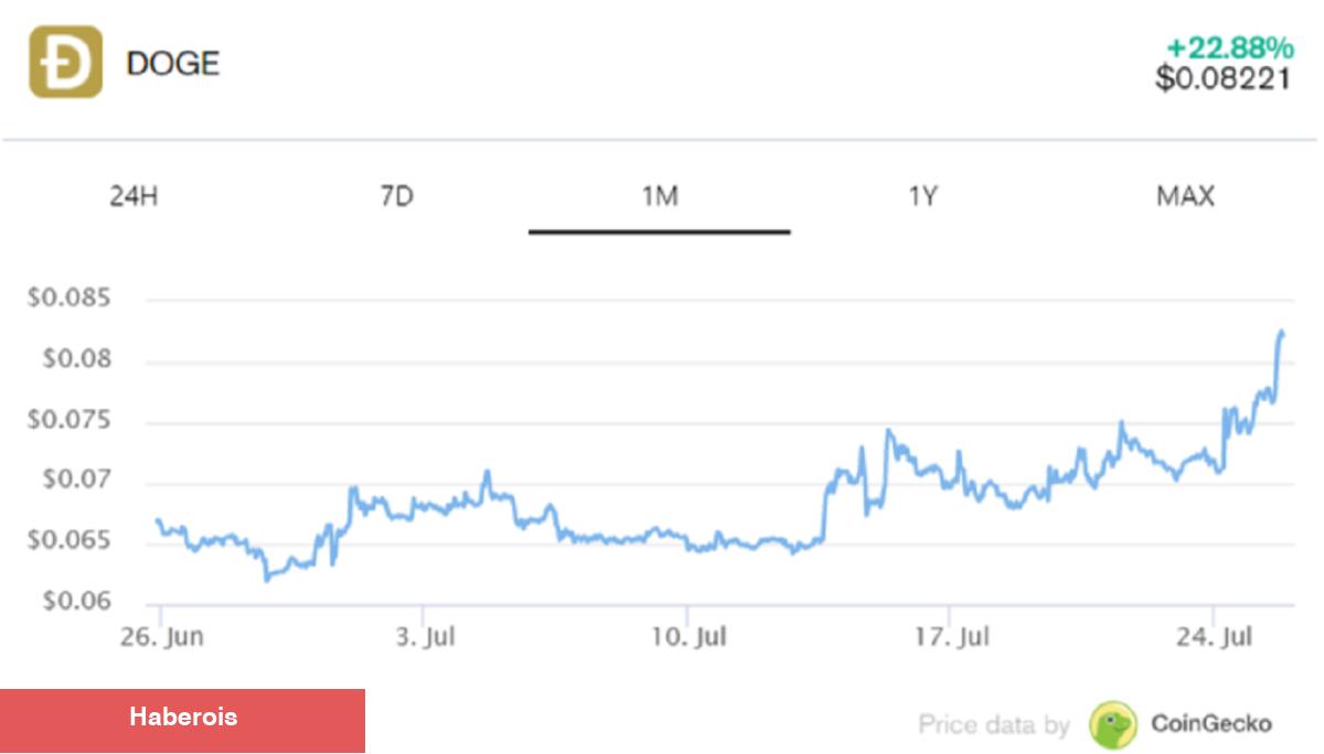 Elon Musk Gizemli Bir Görüntü Paylaştı: Bu Altcoin Fırladı! - Haberois Elon Musk Gizemli Bir Görüntü Paylaştı: Bu Altcoin Fırladı!