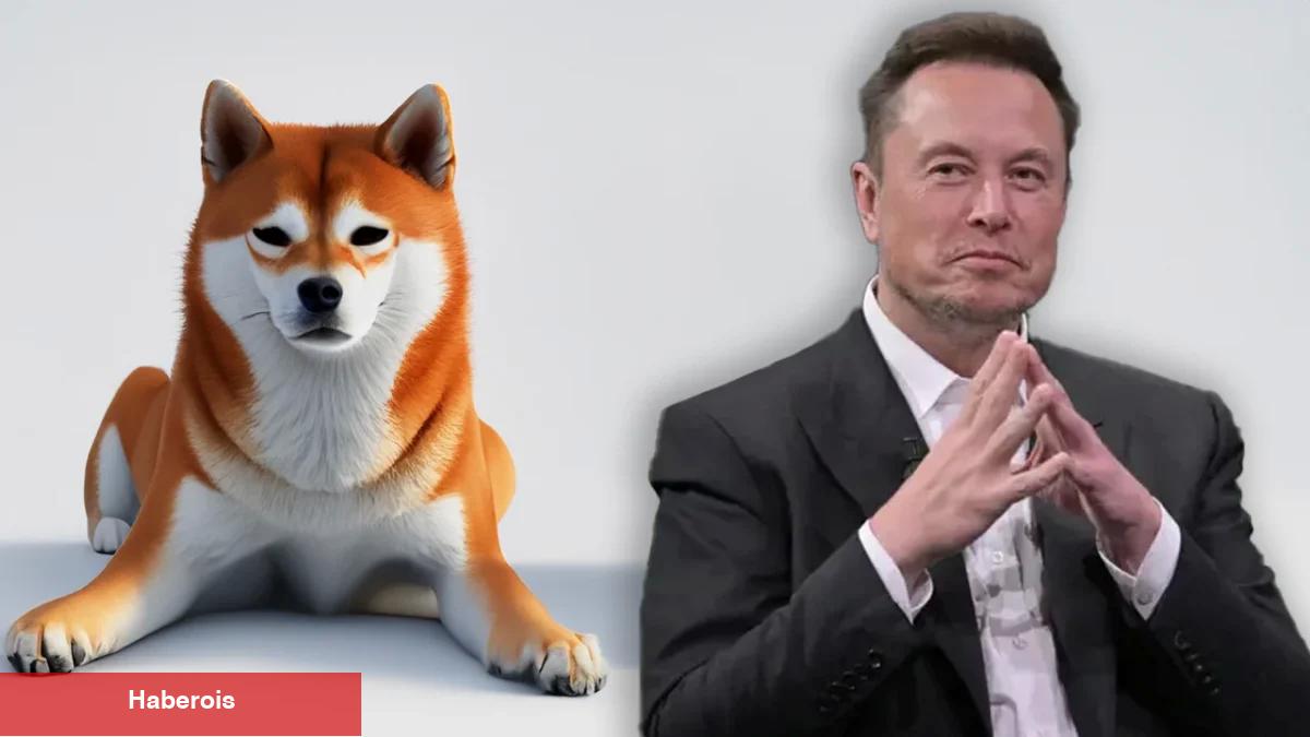 Elon Musk Gizemli Bir Görüntü Paylaştı: Bu Altcoin Fırladı! - Haberois Elon Musk Gizemli Bir Görüntü Paylaştı: Bu Altcoin Fırladı!