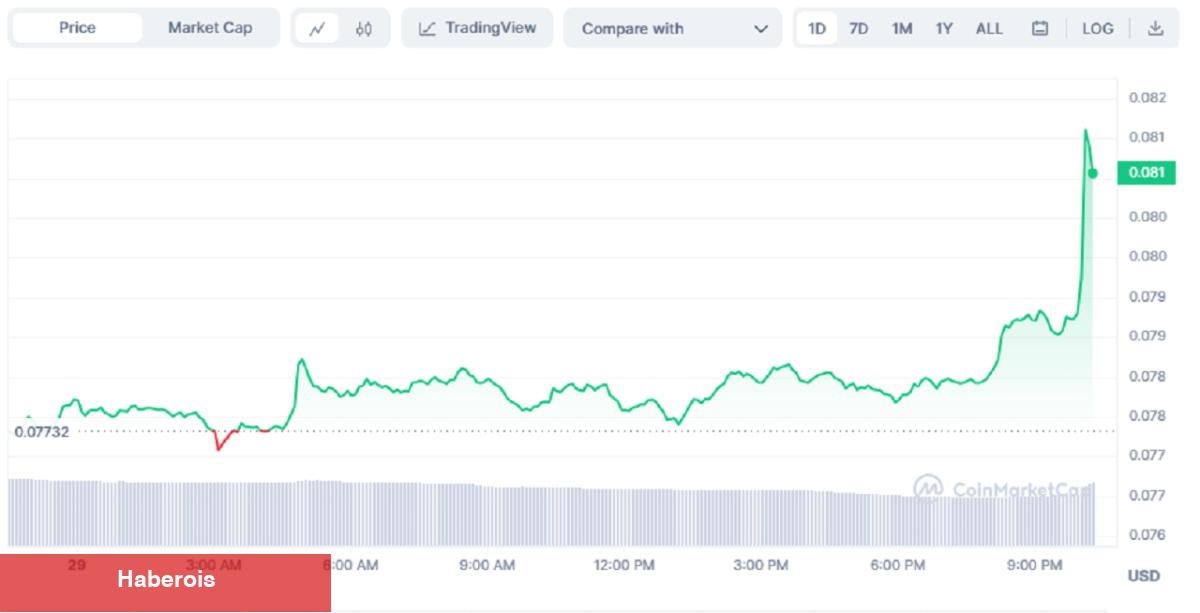 Elon Musk Gizemli Tweet Attı! Bu Altcoin Fiyatı Yükselişe Geçti - Haberois Elon Musk Gizemli Tweet Attı! Bu Altcoin Fiyatı Yükselişe Geçti