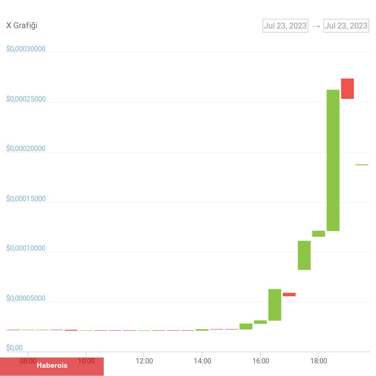 Elon Musk Kararını Açıkladı: Bu Altcoin Yüzde 30x Yaptı
