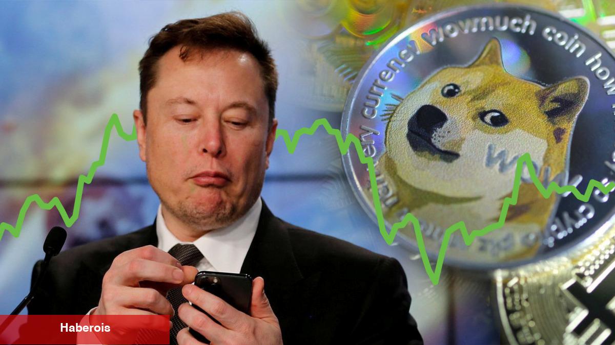 Elon Musk, Tek Tweetle Bu Altcoin Fiyatını Patlattı!