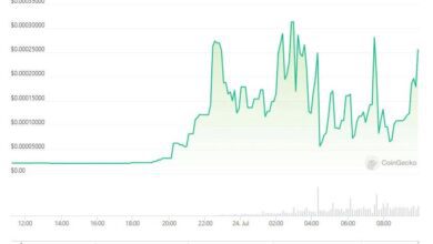 Elon Musk Twitter Markasını Değiştirdi: Bu Altcoin Patladı!