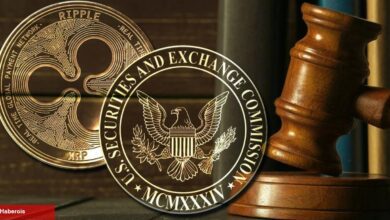 Eski SEC Yetkilisi Uyardı: Ripple Kararı Bozulabilir!