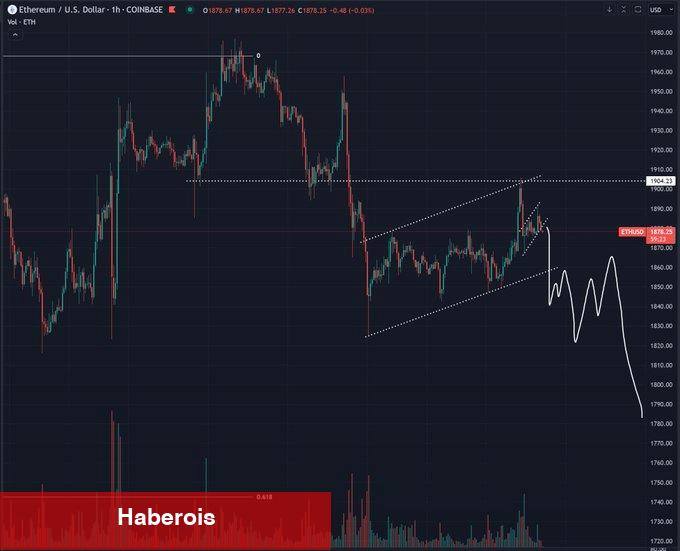 Ethereum Çakılacak Diyen Efsane: Bu 2 Altcoin Fırlayacak!