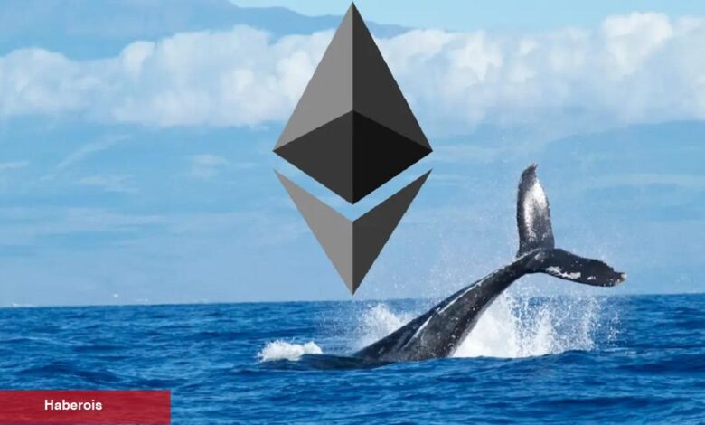 Ethereum, MKR Satan Balinalar Bu 2 Altcoine Koşuyor! - Haberois Ethereum, MKR Satan Balinalar Bu 2 Altcoine Koşuyor!