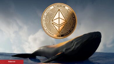 Ethereum’dan Çıkan Balinalar, Bu Altcoin’i Süratle Topluyor!