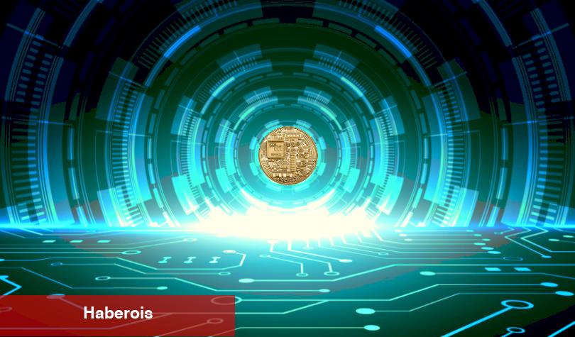 EY Başkanı: Bu Altcoin Akıllı Paranın Gözdesi Olacak!