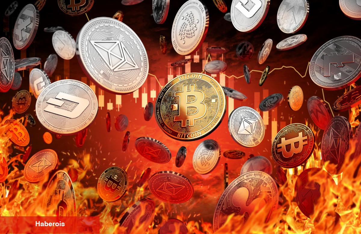 EY Başkanı: Bu Altcoin Akıllı Paranın Gözdesi Olacak!