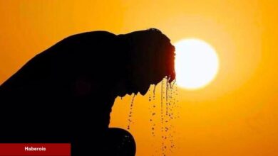 Eyyam-ı Bahur sıcakları nedir? Eyyam-ı Bahur sıcakları Türkiye'ye ne vakit geliyor?