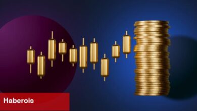 Gerçek Ralliyi Kaçırmayın! Ünlü Analistler, 5 Altcoin Seçti!