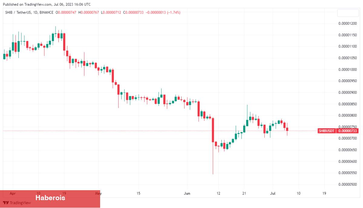 Google Bard Seçti: Bu 3 Altcoin Güçlü Yatırımlar!