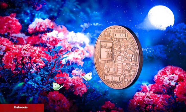 Hafta Sonu Bu 16 Altcoin İçin Kritik: İşte Yaşanacaklar! - Haberois Hafta Sonu Bu 16 Altcoin İçin Kritik: İşte Yaşanacaklar!