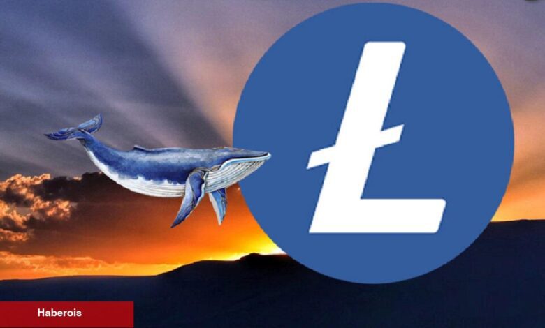 Halving İçin Geri Sayım: Litecoin Balinalarından Değerli Hamle! - Haberois Halving İçin Geri Sayım: Litecoin Balinalarından Değerli Hamle!