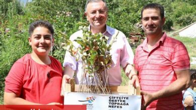 Hatay'da 'çiftçiye destek toprağa nefes'e devam