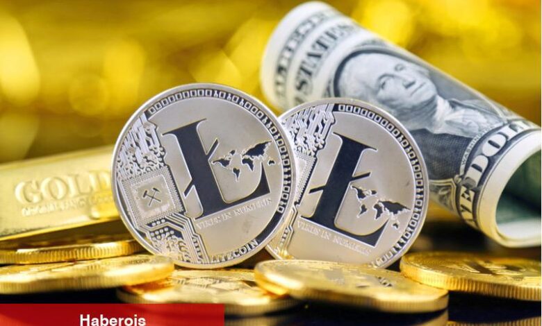 Haziran ayının getiri şampiyonu olan Bitcoin Cash’ten sonra gözler Litecoin’e çevrildi - Haberois Haziran ayının getiri şampiyonu olan Bitcoin Cash’ten sonra gözler Litecoin’e çevrildi