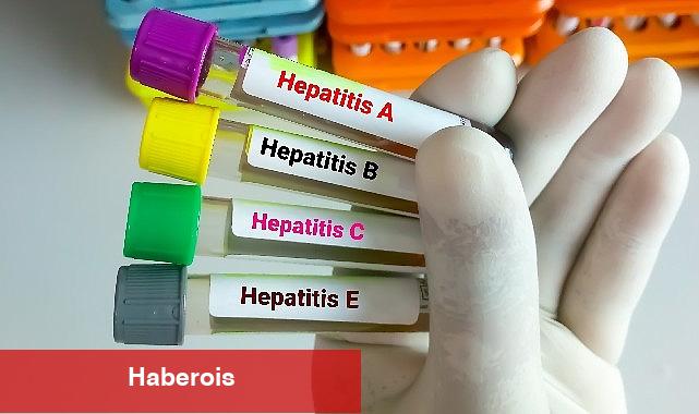 Hepatitte Aşılama Kronik Enfeksiyonları Önlemede %95 Etkili - Haberois Hepatitte Aşılama Kronik Enfeksiyonları Önlemede %95 Etkili