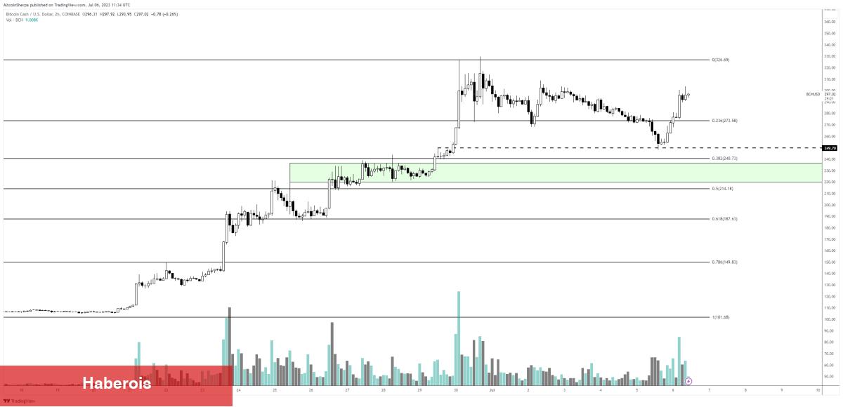 İkaz Geldi! Bu Altcoin Çökebilir