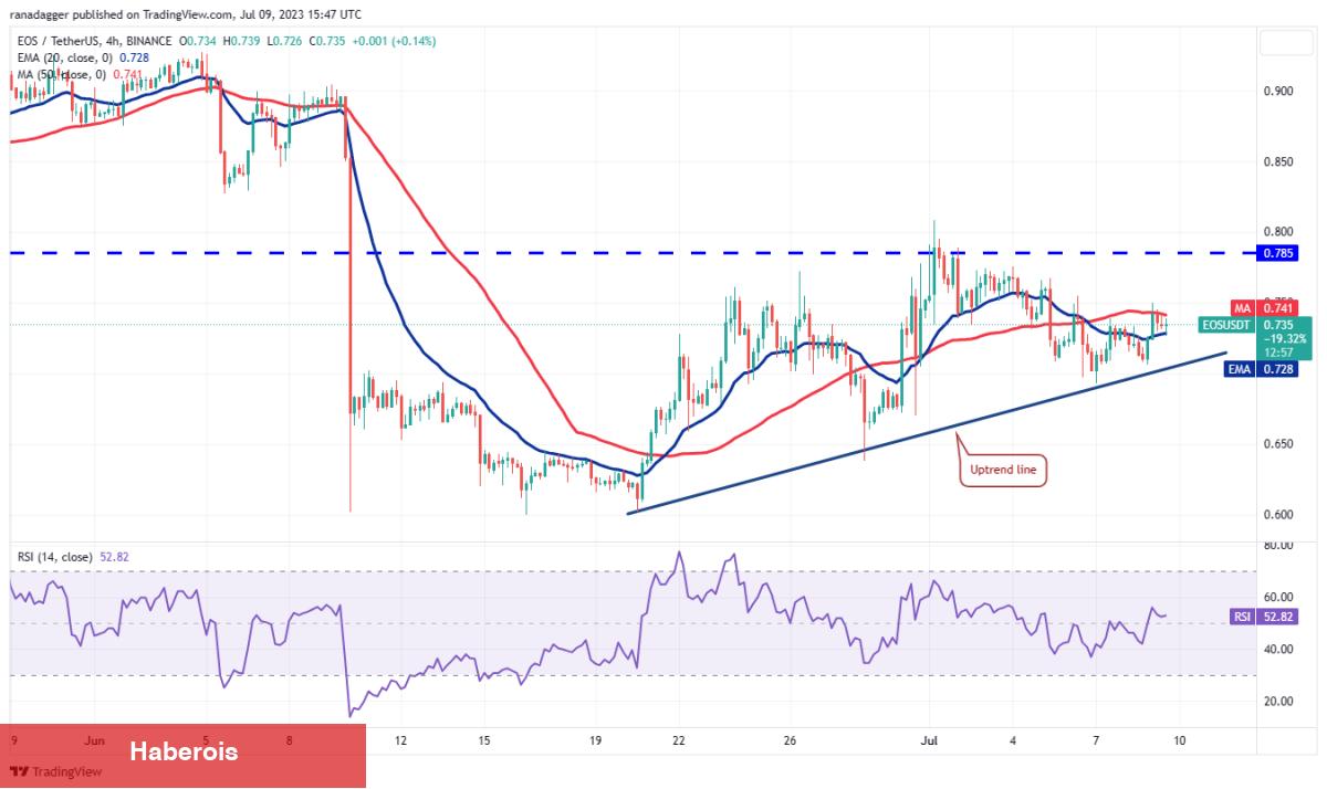 İşte Bu Hafta İzlenecek 4 Altcoin ve Kritik Tahminler! - Haberois İşte Bu Hafta İzlenecek 4 Altcoin ve Kritik Tahminler!