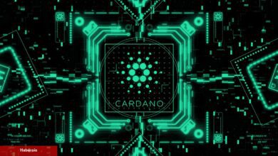 ‘İzleme Listesine Giren’ Cardano Coinler Bunlar!