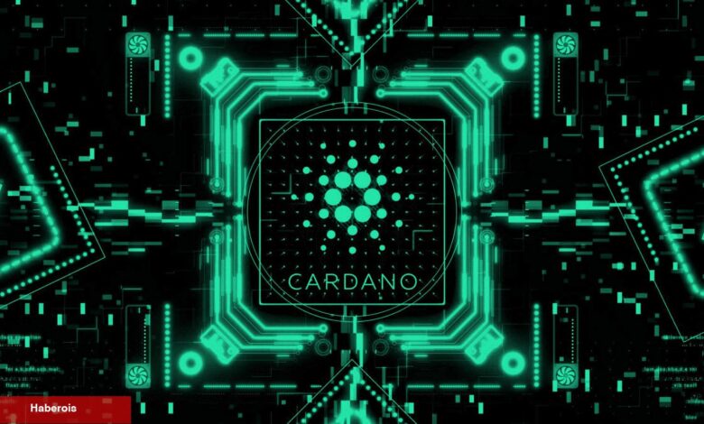 ‘İzleme Listesine Giren’ Cardano Coinler Bunlar! - Haberois ‘İzleme Listesine Giren’ Cardano Coinler Bunlar!