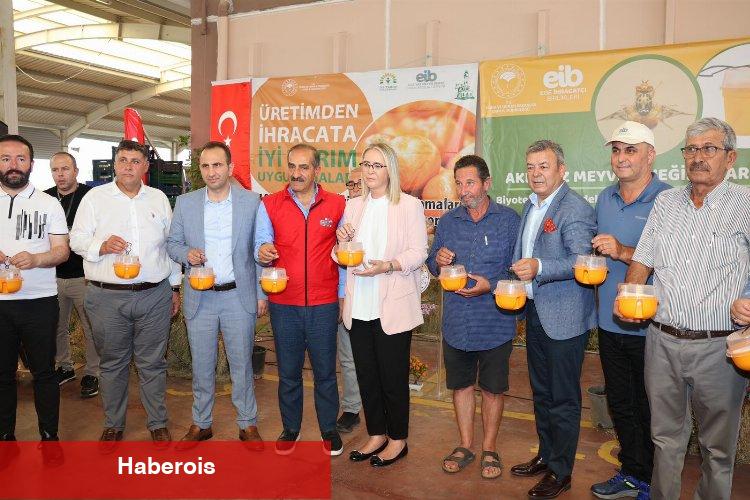 İzmir'de Akdeniz Meyve Sineği ile mücadele... 5 bin tuzak dağıtılıyor