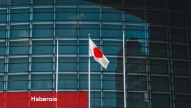 Japon Devi, Bu Altcoin ile İştirak Kurdu!