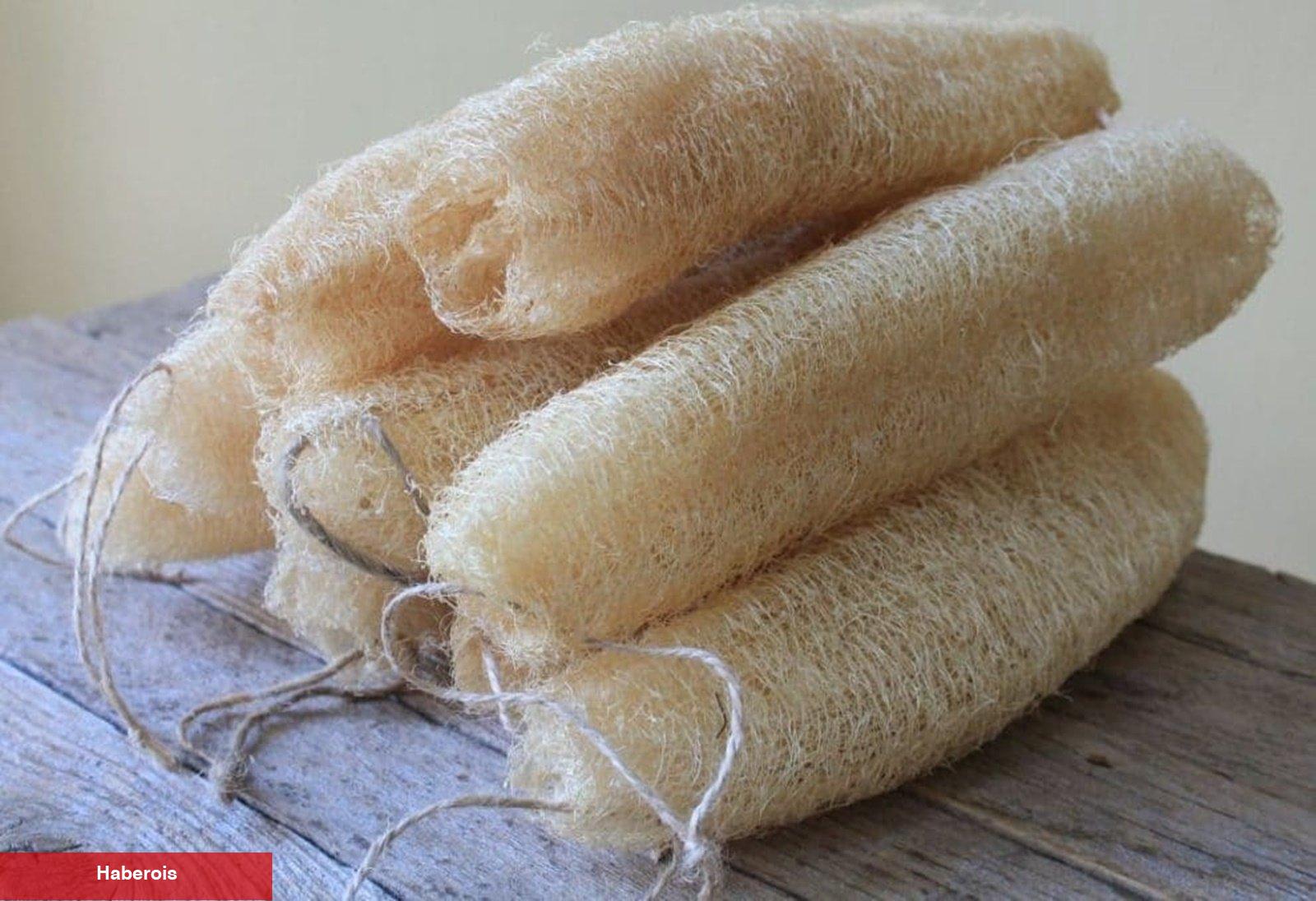 Kabak lifinin kullanımı ve yararları