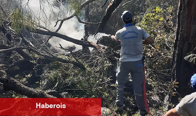 Kemer'deki orman yangınına müdahale sürüyor