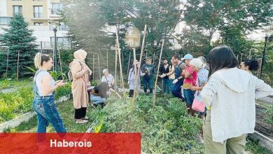  Kent ortasında Ekolojik tarım 